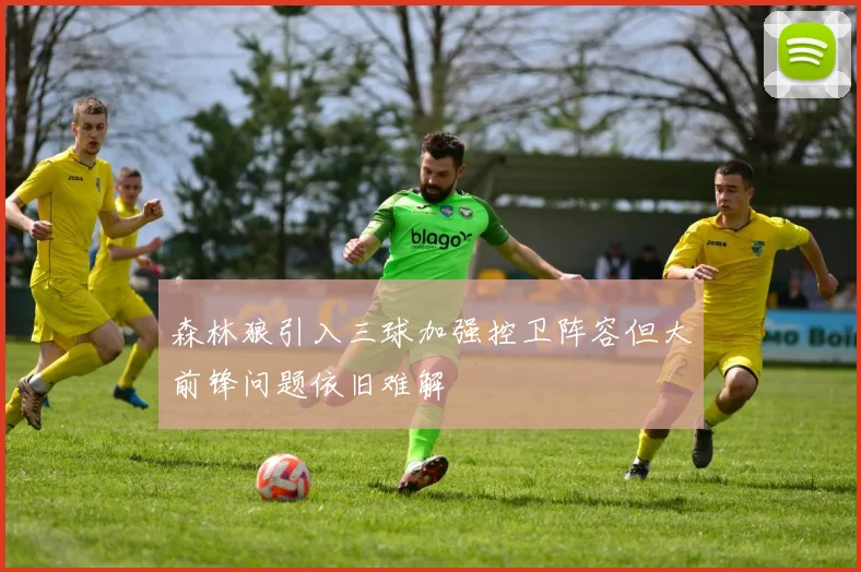 森林狼引入三球加强控卫阵容但大前锋问题依旧难解