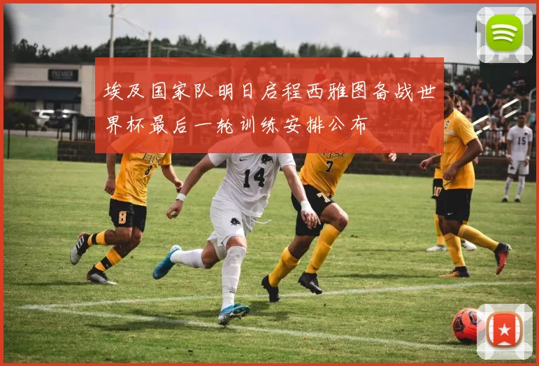 埃及国家队明日启程西雅图备战世界杯最后一轮训练安排公布